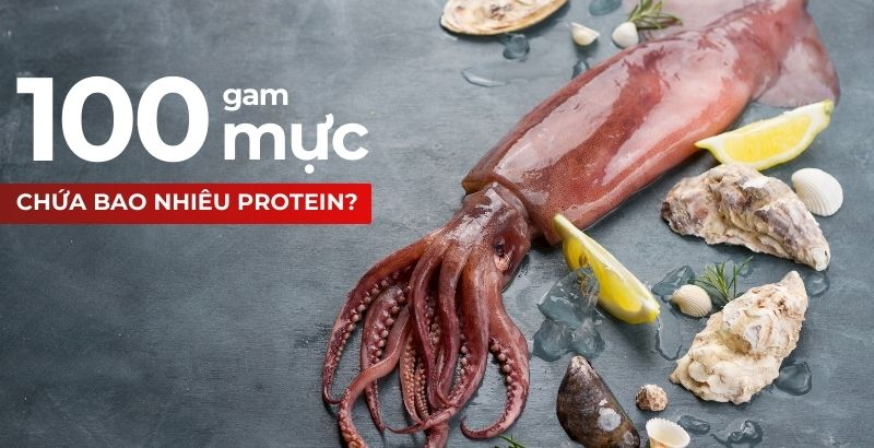 100g mực chứa bao nhiêu protein? Ăn mực tăng cân không?